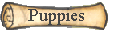Puppies